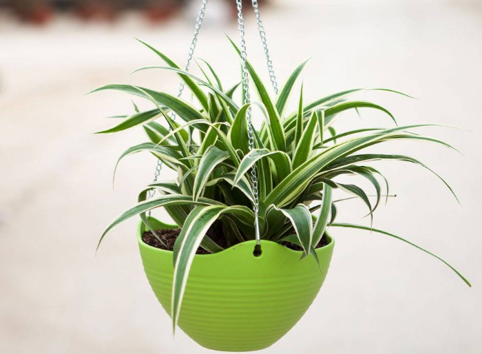 1559717254371587.png image.png