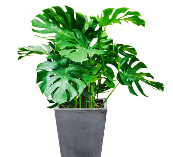 1559719630856568.png image.png