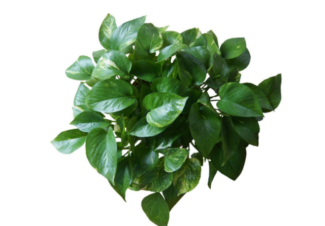 1559719671510903.png image.png